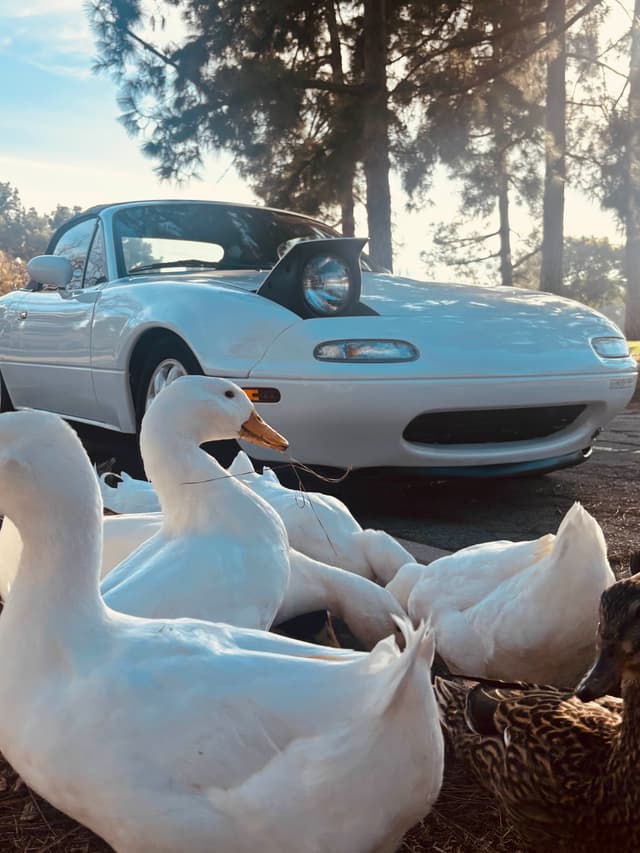 my 1992 miata